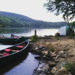 Darlene Stein - @darleydharma - Instagram