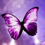 Darlene Storey - @darlene.storey.73 - Instagram