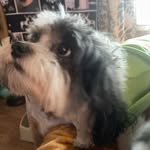 Darlene Storey - @darlenestorey73 - Instagram
