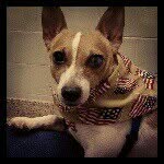 Darlene Stout - @dstout1955 - Instagram