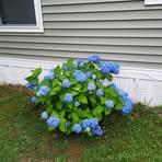 Darlene Stratton - Facebook