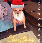 Darlene Stripling - Facebook