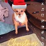 Darlene Stripling - @sttipling - Instagram