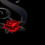 Darlene Stripling - Facebook