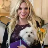 Darnette Strohmeyer - @rentesvecma19711974 - TikTok