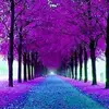 Darlene Shorter - @user1286209794259 - TikTok