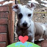 Darlene Stuart - @stuartdarlene - Instagram