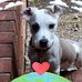 Darlene Stuart - Facebook