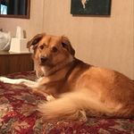Darlene Stuart - @dstuart52 - Instagram