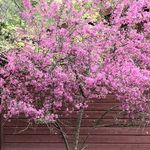 Darlene Massie Stuber Otto - @darlenemassie - Instagram