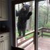 Darlene Stuber - Facebook