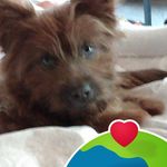 Darlene Stuber - @darlene.stuber - Instagram