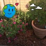 Darlene Summers - @darlene.summers - Instagram