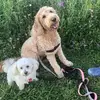 Darlene Bates Sutherland - @darlene.bates.sut - TikTok
