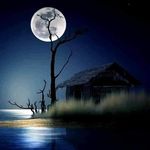 Darlene Sutherland - @darlene.sutherland.773 - Instagram