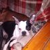 Darlene Sutter - Facebook