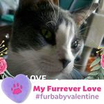 Darlene Sutton Griffey - @darlenesuttongriffey - Instagram