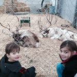 Darlene Kier Swanson - @darswan - Instagram