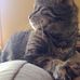 Darlene Swanson - Facebook