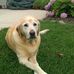Darlene Swanson - Facebook