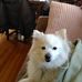 Darlene Talbert - Facebook