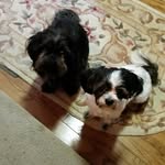 Darlene Thacker-Parmer - @darleneparmer - Instagram