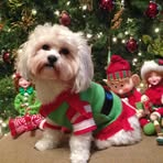 Darlene Lorencz Thelen - Facebook