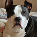 Darlene Dahl - Facebook