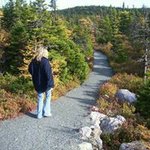Darlene Tobin - @darlene.tobin - Instagram