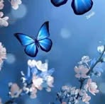 Darlene Tobinus - Facebook