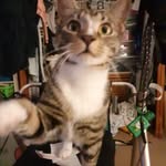 Darlene Toth - @dwpipyoku7 - Instagram