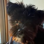 Darlene Joy Wright - @towerdarlene - Instagram