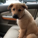 Darlene Townsend - @darlenetownsend2009 - Instagram
