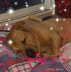Darlene Trudeau - Facebook