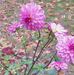 Darlene Tuttle - Facebook