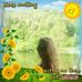 Darlene Tuttle - Facebook