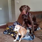 Darlene Tuttle Gray - @darlene.tuttlegray - Instagram