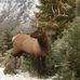 Darleen Twitchell - Facebook