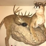 Earl Vanover - @earldarlenevanover - Instagram