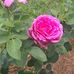 Darlene Venable - Facebook