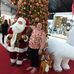 Darlene Beatriz Bierhalz Voss - Facebook