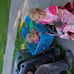 Darlene Waldner - Facebook