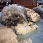 WALLS PENNY DARLENE - @wallspennydarlene - Instagram