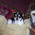 Darlene Weaver - @darlene.weaver.5 - Instagram