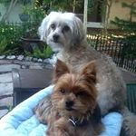 Darlene Weaver - @idollynana - Instagram