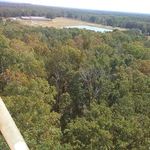 Darlene Weaver - @darlene.weaver.3469 - Instagram