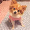 darlene.weaver - @darlene.weaver - TikTok