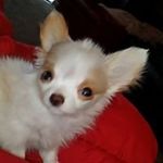 Darlene Webster - @darle_ne.webster - Instagram