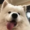darlene.webster - @darlene.webster3 - TikTok
