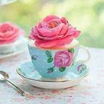 darlene wiggins - @darwiggins227 - Instagram